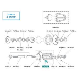 Ressort Cliquet Campagnolo FH-RE014 - [x1]