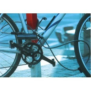 Câble d'Antivol à Boucles Trelock ZS 150