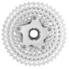 Cassette Gravel Campagnolo Ekar 13V (10-44)