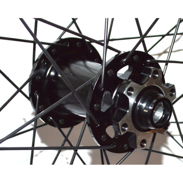 Roue Avant VTT PNA 0330869W Alu 18-622 (29") Disque CL 15x110mm Boost
