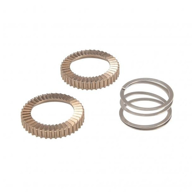 Kit Cliquets et Ressort Mavic V2251701 pour Corps de Roue Libre ITS4/TS2