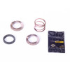 Kit Cliquets et Ressort Mavic V2375201 pour Corps de Roue Libre ITS4/TS2
