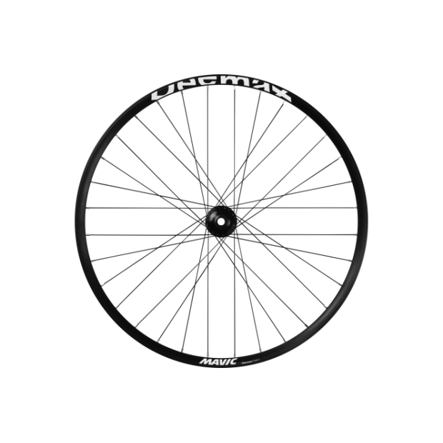 Roue Avant Descente/Bike Park Mavic Deemax Park 29" (30-622)