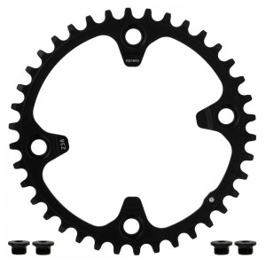 Plateau Gravel Campagnolo Ekar 1x13V 123mm