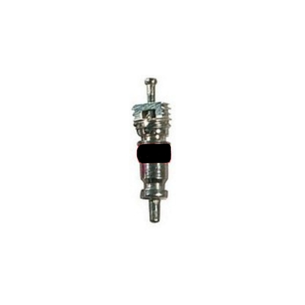 Obus de Valve Schwalbe Schrader x1