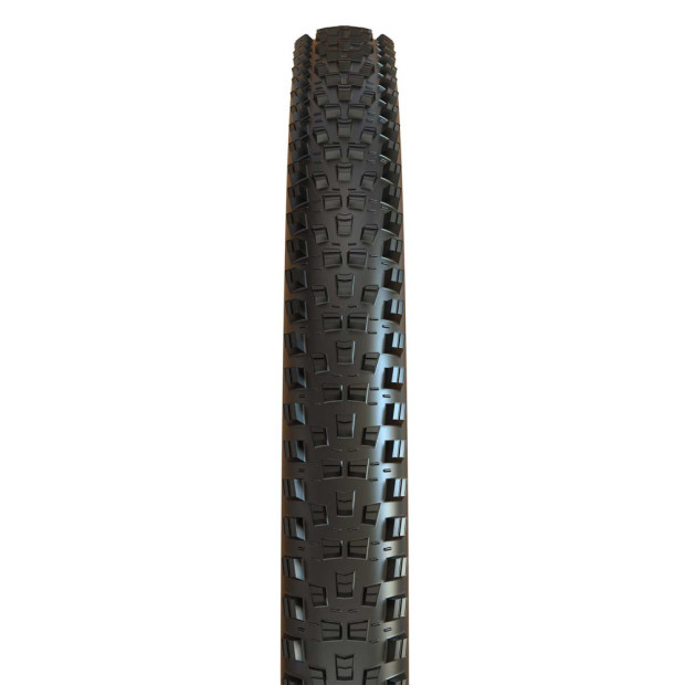 Pneu VTT Cross-Country Maxxis Forekaster Exo TR 29x2,4"