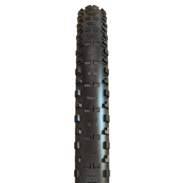 Pneu VTT Enduro Freeride Maxxis Minion DHR II Exo TR 29x2,4"