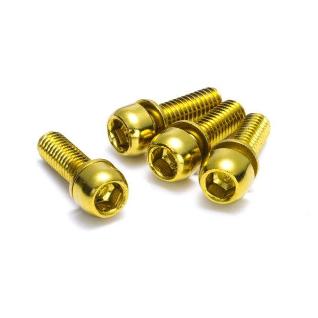 Kit Vis Etrier de Frein Reverse M6x18mm or