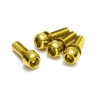 Kit Vis Etrier de Frein Reverse M6x18mm or