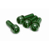 Kit Vis Etrier de Frein Reverse M6x18mm vert