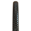 Pneu BMX/Dirt Maxxis Holy Roller 24x2,4"