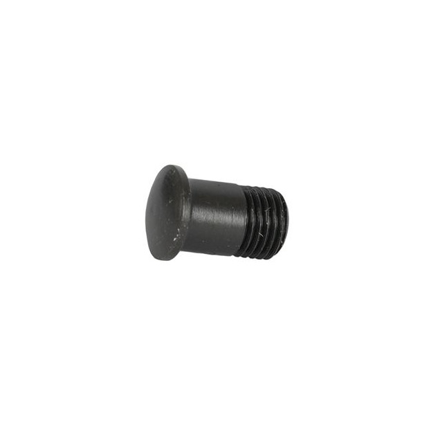 Vis d'Aimantage Têtes de Rayon Campagnolo UT-WH020 pour Shamal / Eurus