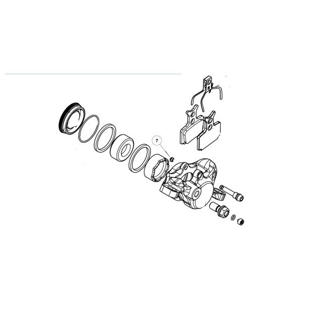 Clip Vis Plaquette Formula - FD40130-10