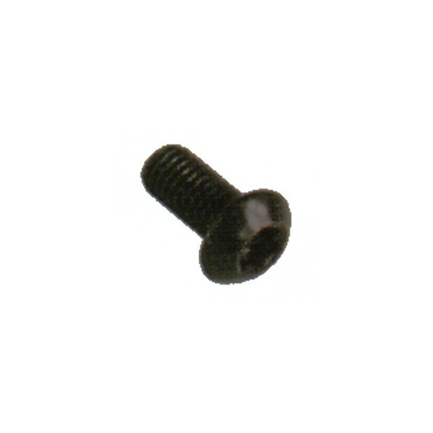 Vis Torx M5 pour fixation de disque de frein x 1