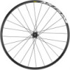 Roue Avant Route MAVIC Aksium Disc - Center Lock