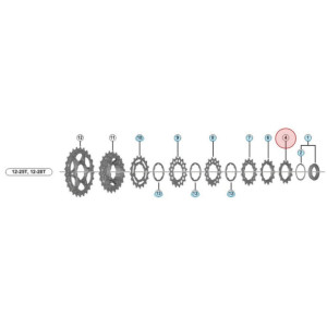 Pignon Shimano Dura-Ace CS-R9100 - 11 Vitesses - 12 Dents - 12-25/28