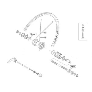 Rayon Shimano Ultegra WH6700 - Arrière (x1)